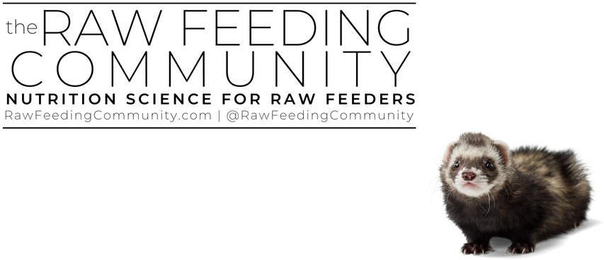 Weasel Clipart (1080x500), Png Download