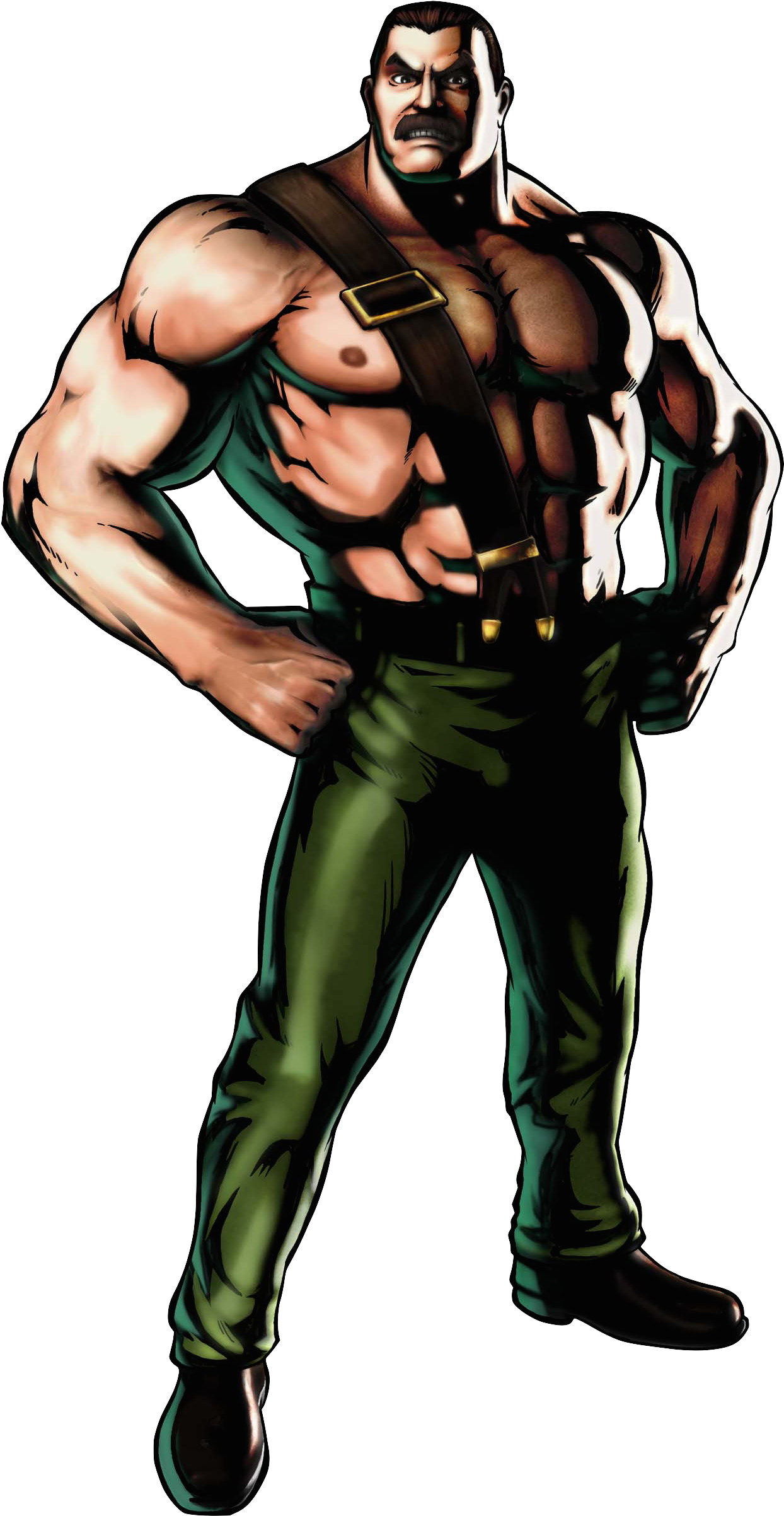 Capcom Pls - Haggar Marvel Vs Capcom 3 Clipart (2000x2647), Png Download