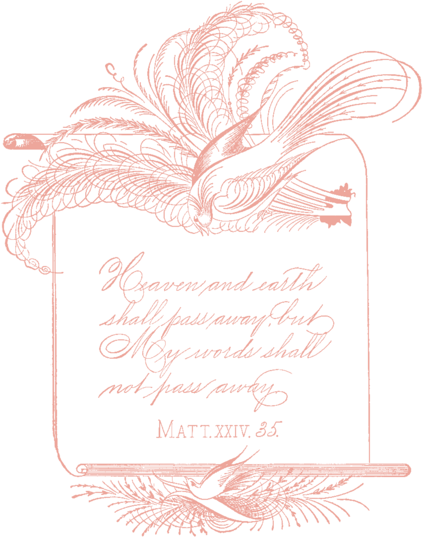 Free Vintage Clip Art - Calligraphy - Png Download (860x1091), Png Download