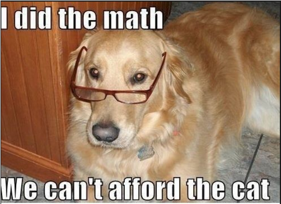 Yes, This Is Dog - Cute Golden Retriever Memes Clipart (640x494), Png Download