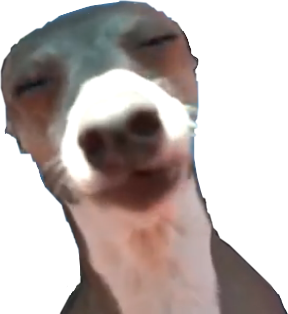 Kermit Sticker - Dog Licks Clipart (566x618), Png Download