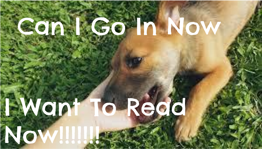 << Previous - Dog Clipart (960x720), Png Download