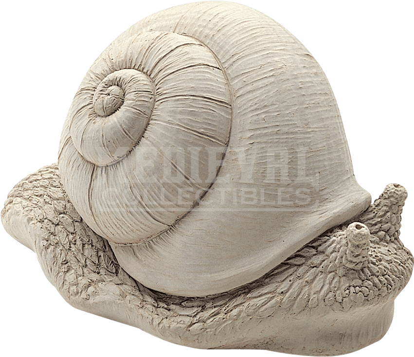 Concrete Snails Clipart (850x850), Png Download