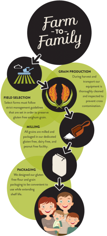 Gluten Free Farm To Family - Flyer Clipart (404x800), Png Download