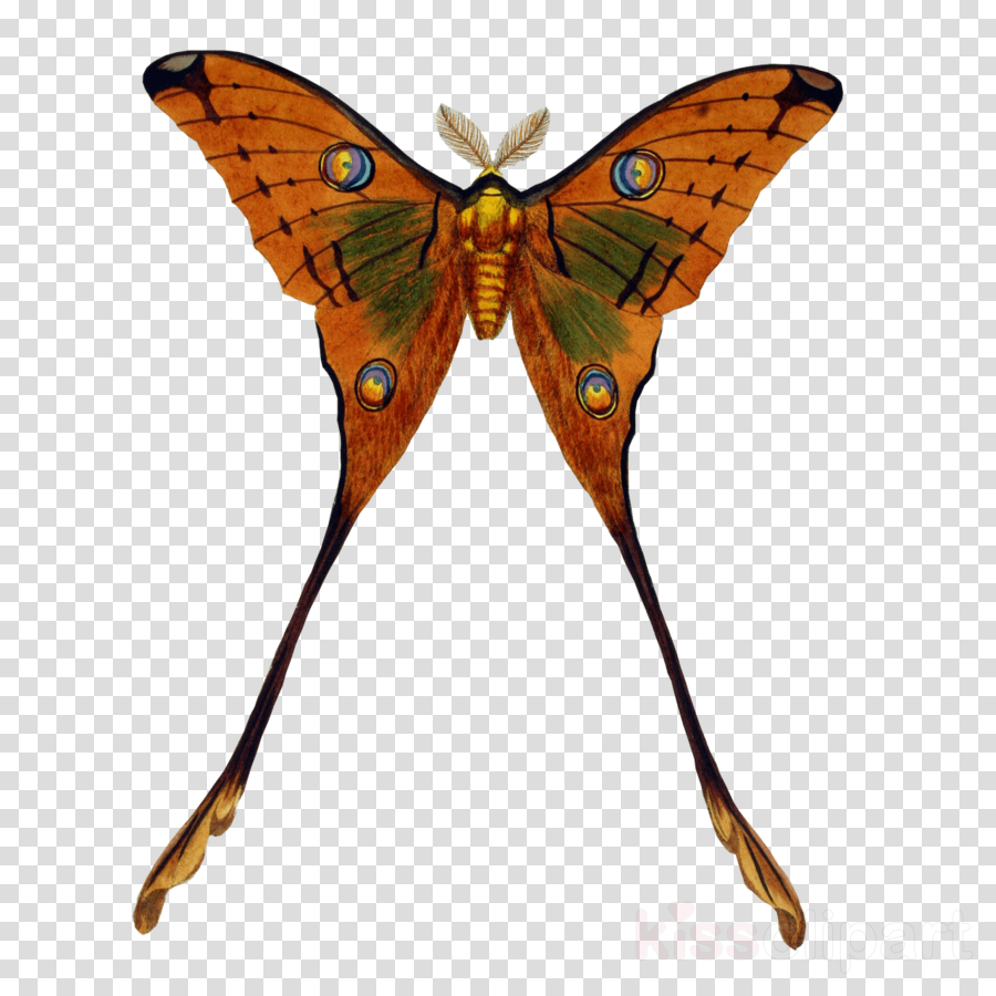 Black And White Drop Of Water Clipart Royalty-free - Black Curved Line Transparent - Png Download (900x900), Png Download