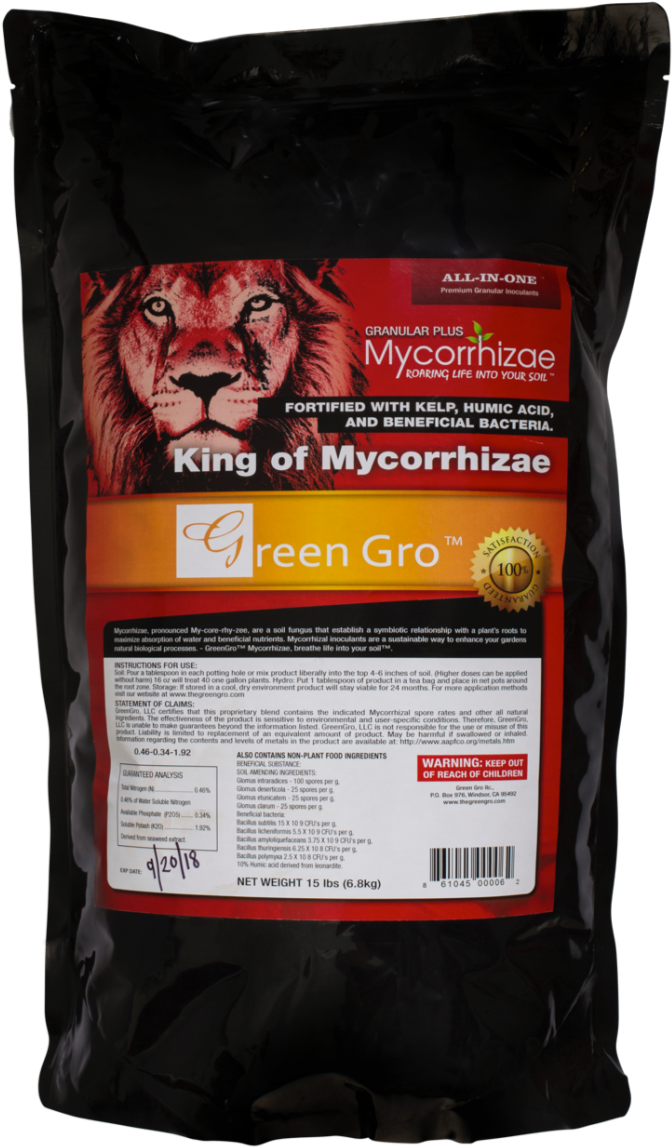 Netley Abbey Clipart (752x1200), Png Download