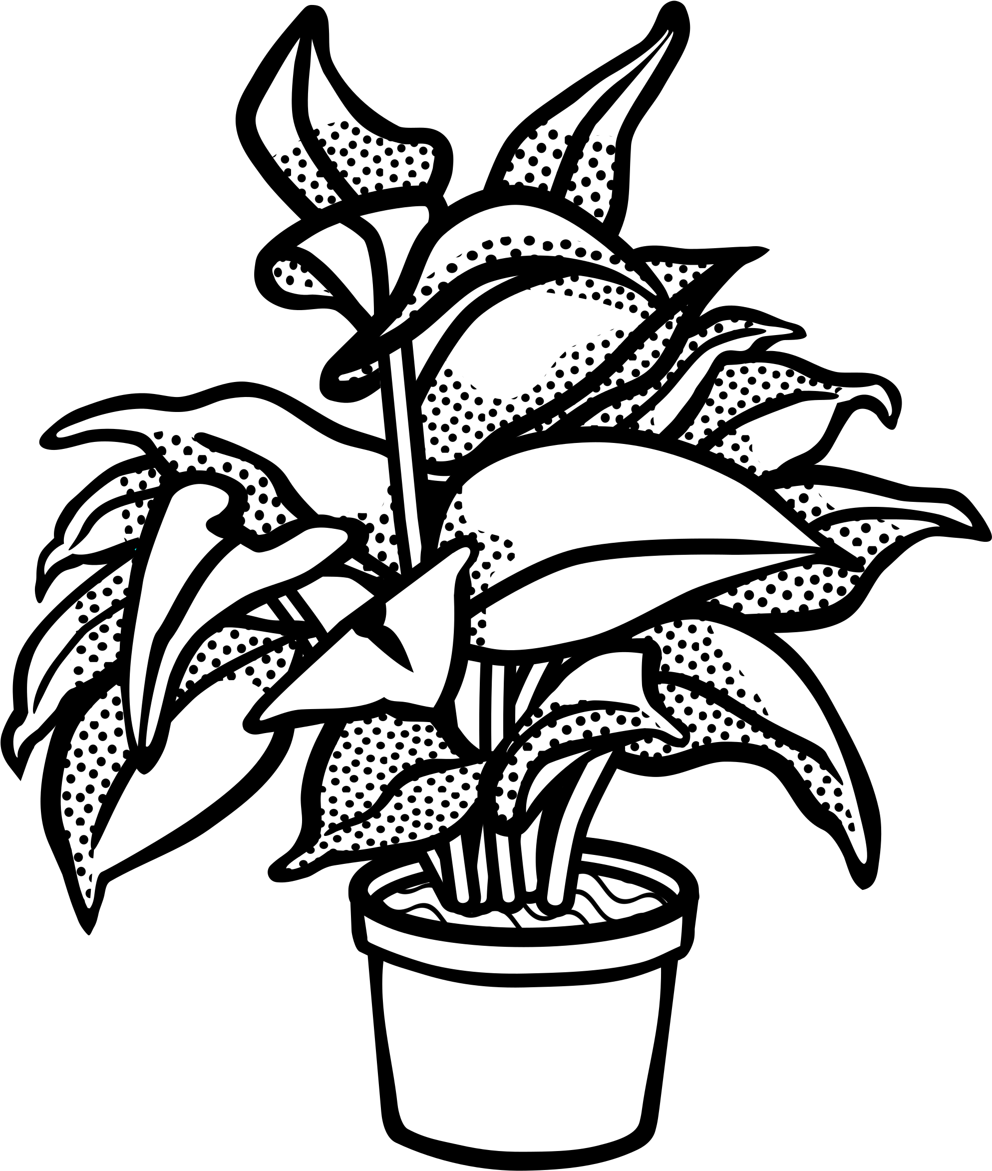 Plant Drawing Black And White At Getdrawings - Plants Clip Art Black And White - Png Download (2400x2400), Png Download