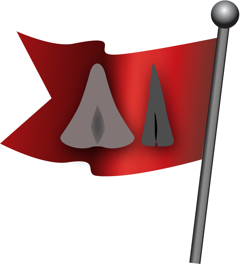 Red Flag Frog Clipart (833x921), Png Download