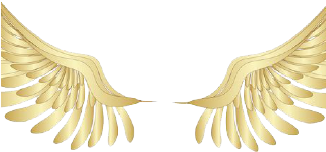 Angel Wings Png - Asa Dourada Arte Png Clipart (640x480), Png Download