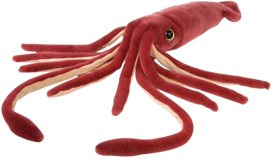 Squid Png Free Download - Squid Soft Toy Clipart (942x942), Png Download