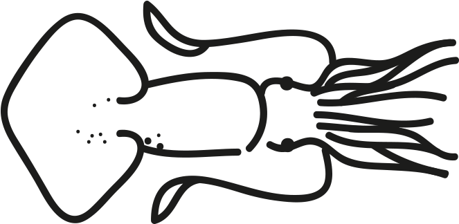 Giant Squid - Line Art Clipart (796x500), Png Download