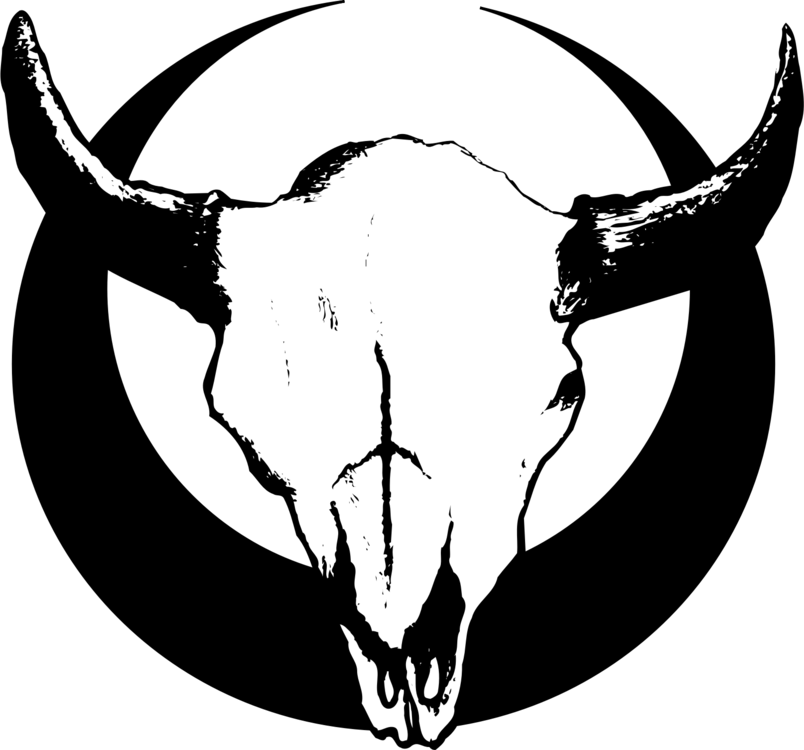 English Longhorn Texas Longhorn Bull Skull - Gambar Tengkorak Kepala Sapi Clipart (804x750), Png Download