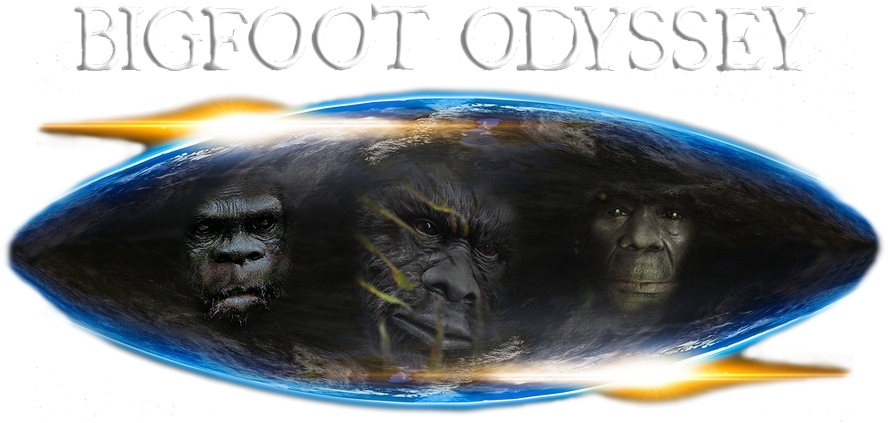 We Are Bigfoot Odyssey - Chewbacca Clipart (887x438), Png Download
