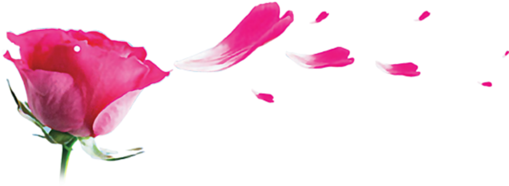 Ftestickers Sticker - กลีบ ดอกไม้ Clipart (1024x1024), Png Download