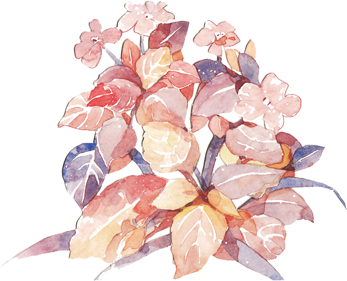 Tokyo National Cherry Blossom Festival Painted Picture - Cherry Blossom Clipart (700x600), Png Download