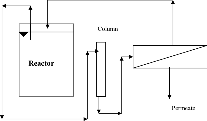 Outline Of The Integrated System - Darkness Clipart (850x500), Png Download