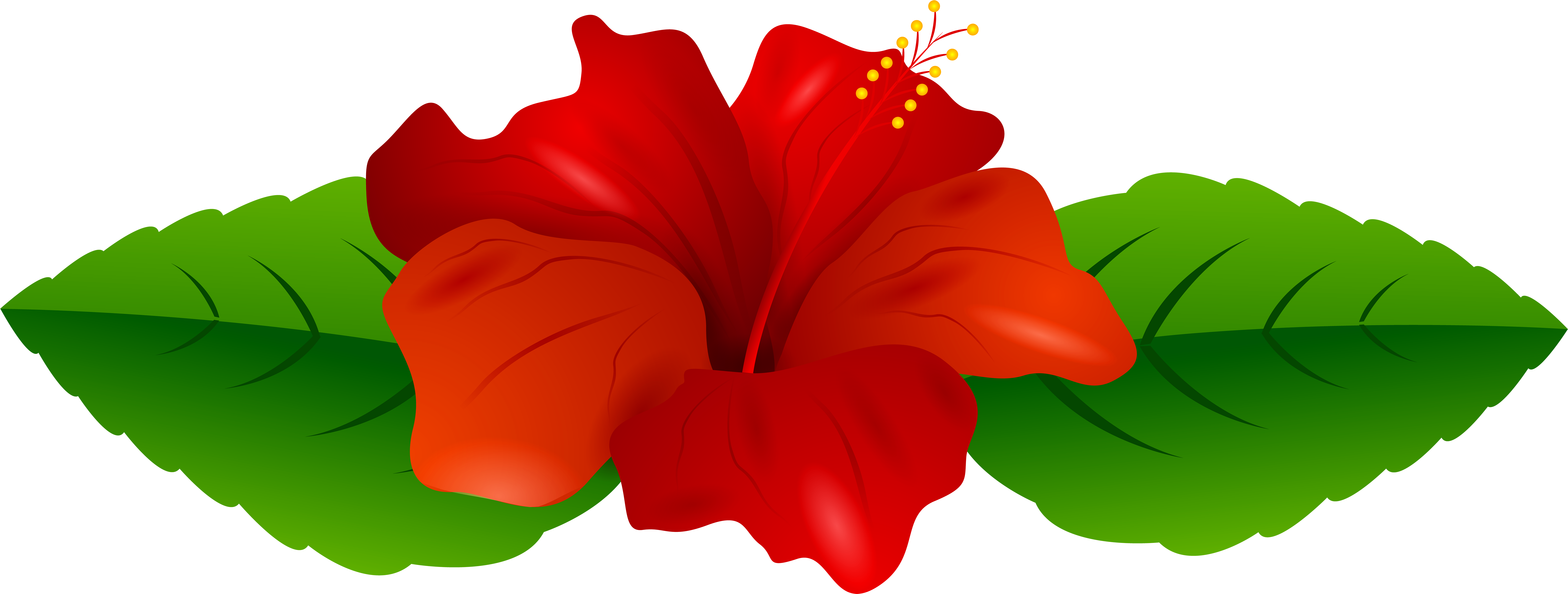 Red Hibiscus Transparent Png Clip Art Image - Transparent Flowers Clipart Png (8000x3111), Png Download