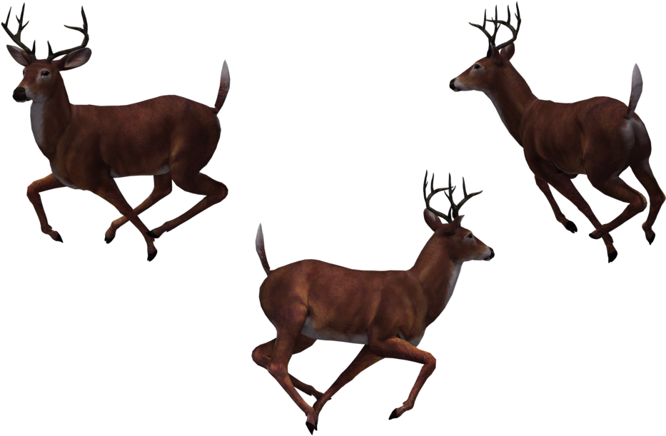 Buck Deer Clipart At Getdrawings - Group Of Deer Png Transparent Png (1024x645), Png Download