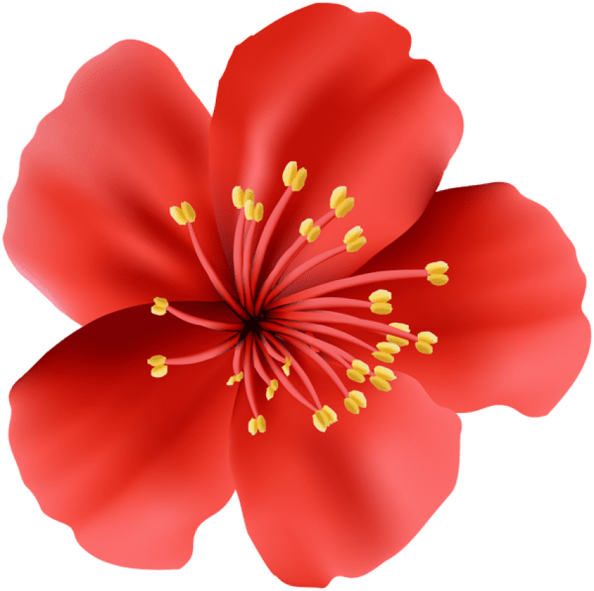Free Png Download Red Flower Png Images Background - Hawaiian Hibiscus Clipart (850x846), Png Download