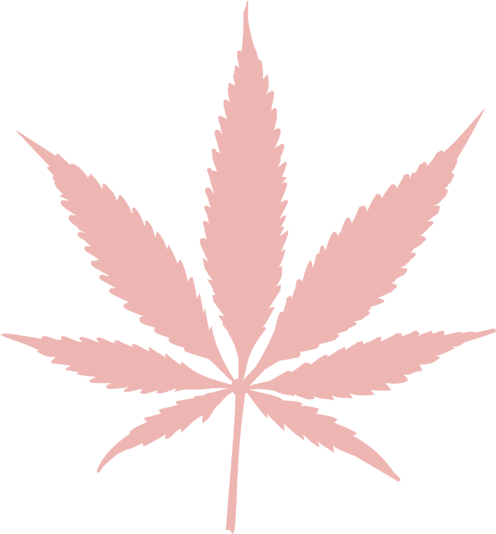 Pinkweedy - Pot Leaf Clipart (1000x1082), Png Download