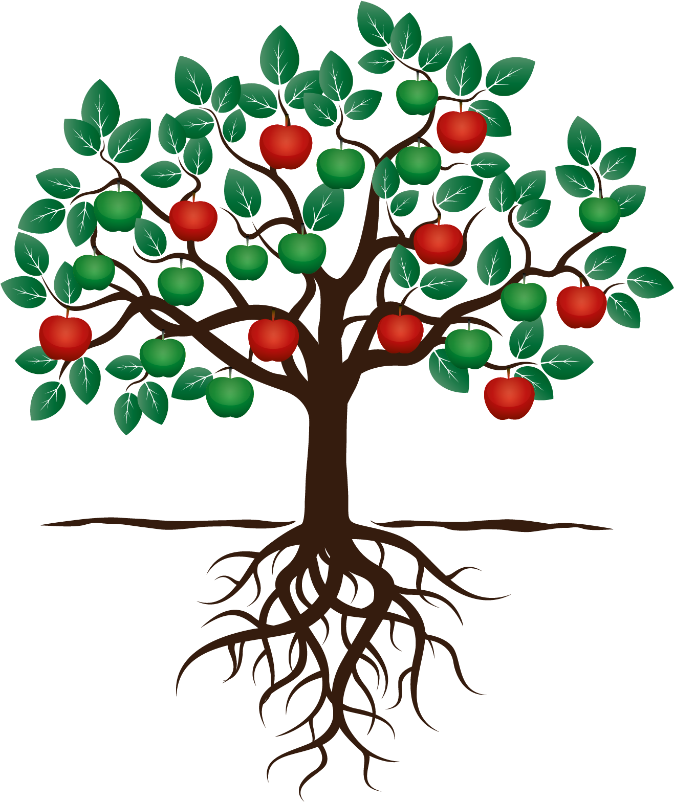 Fruit Tree Drawing Apple Root - Fruit Tree With Roots Clipart (1317x1568), Png Download