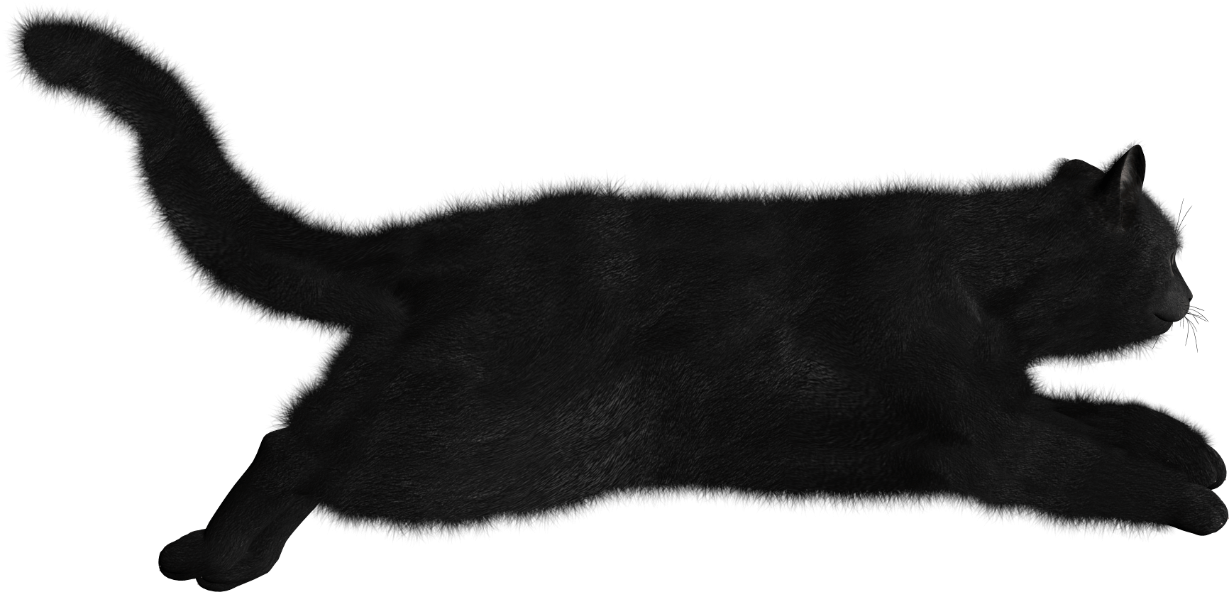 Длинный кот рисунок