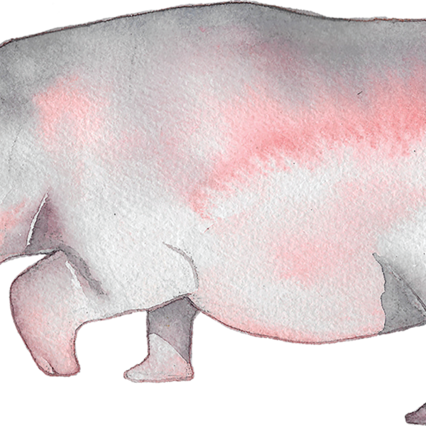 Hippopotamus , Png Download - Hippopotamus Clipart (600x600), Png Download