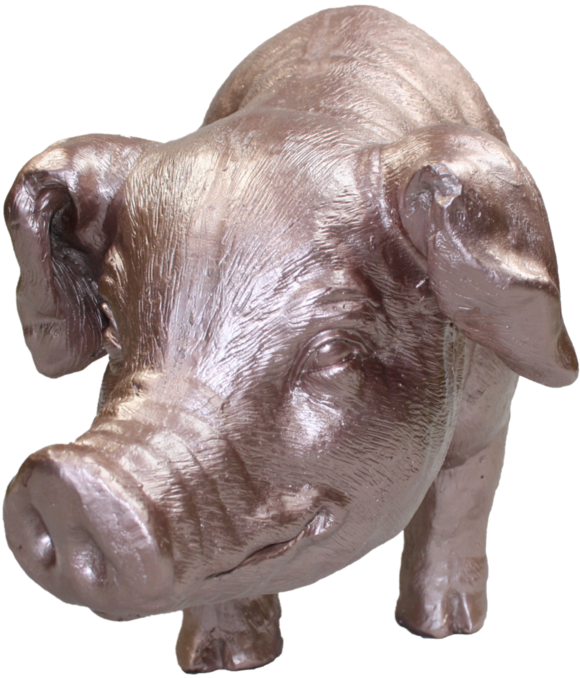 Hippopotamus , Png Download - Domestic Pig Clipart (580x678), Png Download