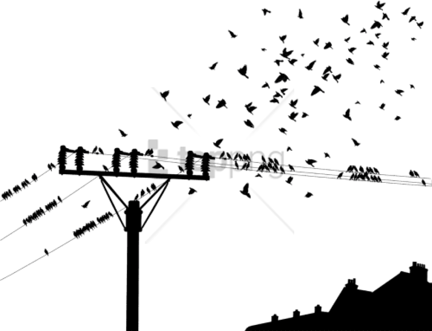 Free Png Desenho De Passaros Nos Fios Png Image With - Birds On A Wire Png Hd Clipart (850x650), Png Download