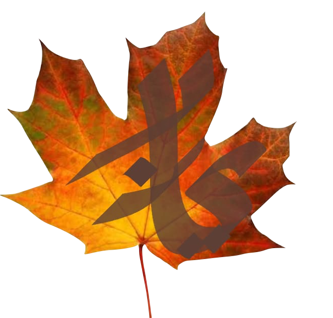 13th, 14th & 15th Velvet Sky - Maple Leaf Clipart (668x637), Png Download