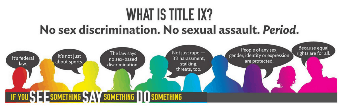 Title Ix Still On The Brink - Flyer Clipart (1200x486), Png Download