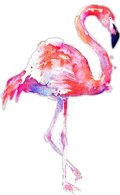 #scflamingos #flamingos #stickers #edit #edits #png - Transparent Background Flamingo Png Clipart (240x391), Png Download