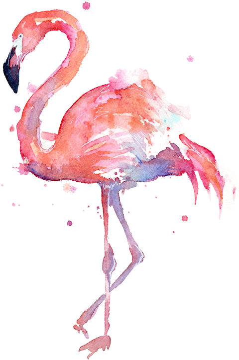 Flamingo Clipart Jpeg - Flamingo Watercolor Painting - Png Download (480x723), Png Download