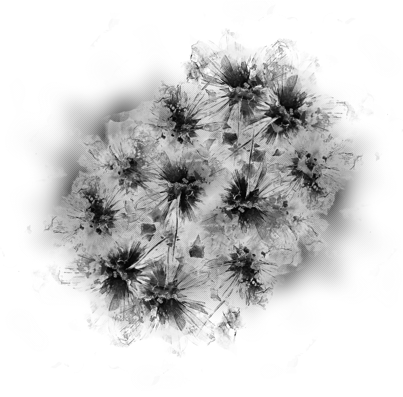 Png Jpg - Dandelion Clipart (800x800), Png Download