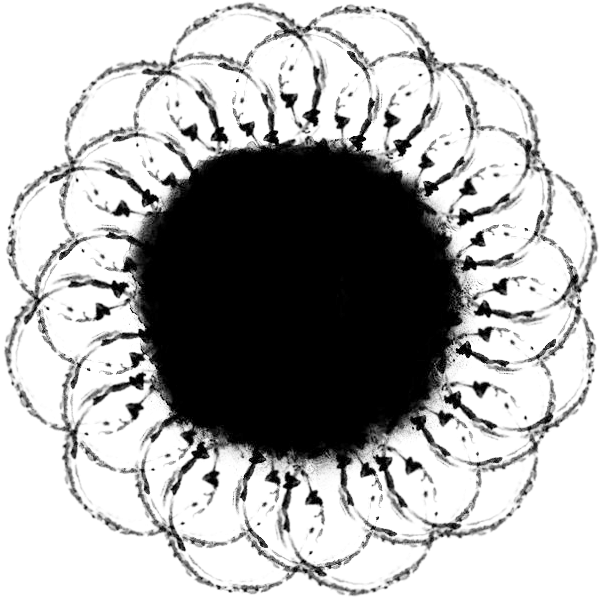 Png Jpg - Circle Clipart (800x800), Png Download