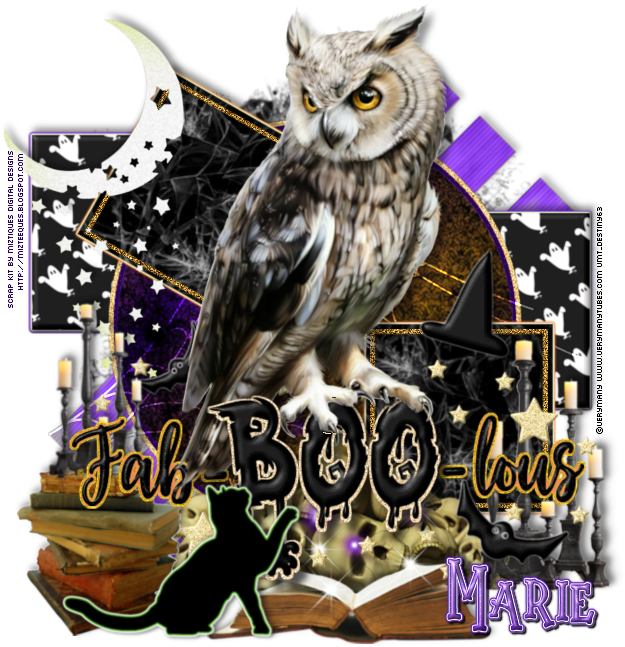 Faboolous - Western Screech Owl Clipart (651x650), Png Download