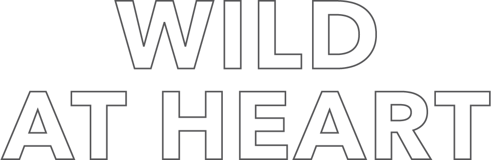 Line Art Clipart (1007x329), Png Download