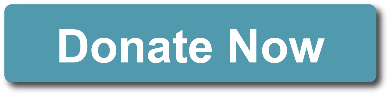 Donate Now Clipart (1398x386), Png Download