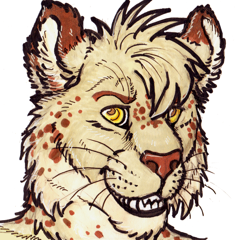 Haku Icon - Bengal Tiger Clipart (800x818), Png Download