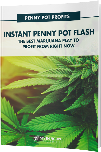 Cannabis Cover Clipart (480x675), Png Download