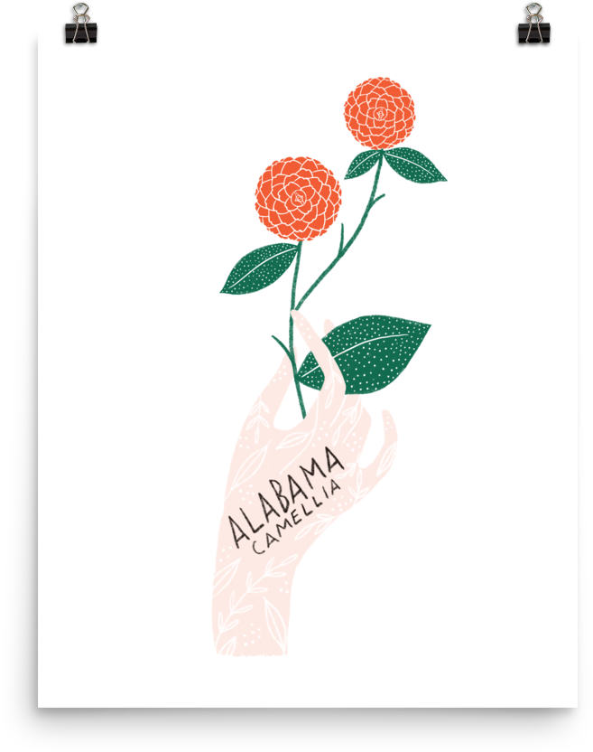 Alabama State Flower Print - Illustration Clipart (657x832), Png Download