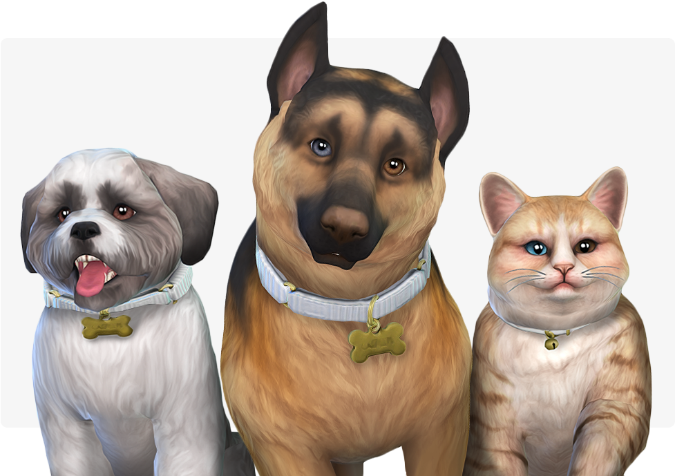 Sssvitlans - Sims 4 Daydreamin Eyes Pets Clipart (1000x720), Png Download