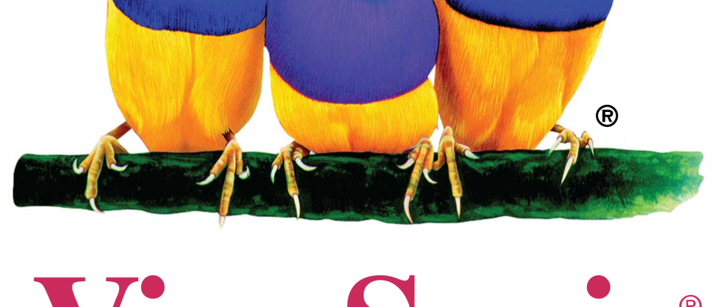 1200px Viewsonic Logo - Viewsonic Logo High Res Clipart (2340x1000), Png Download