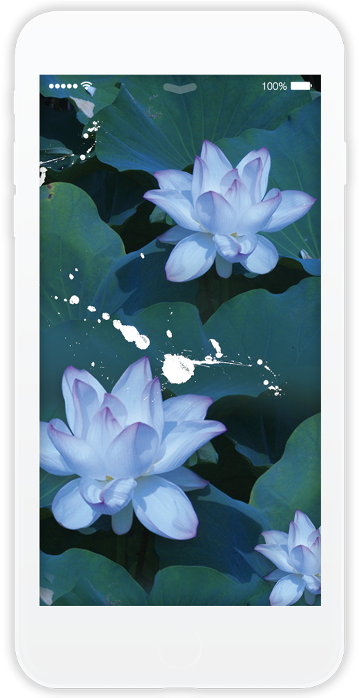 Lilys Light - Smartphone Clipart (750x1000), Png Download