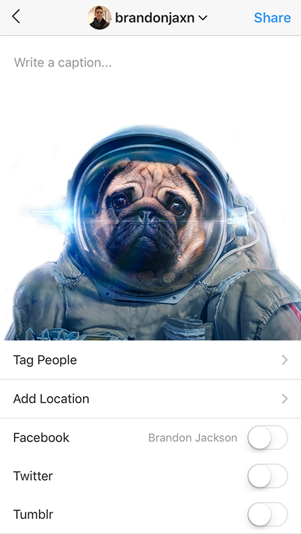 Space Dog Clipart (432x767), Png Download