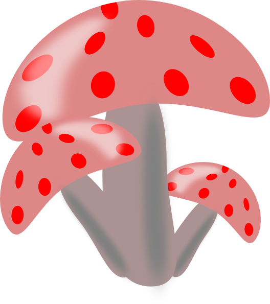 This Free Clip Arts Design Of Ciuperci Mushrooms Png - Ciuperci Clipart Png Transparent Png (528x595), Png Download