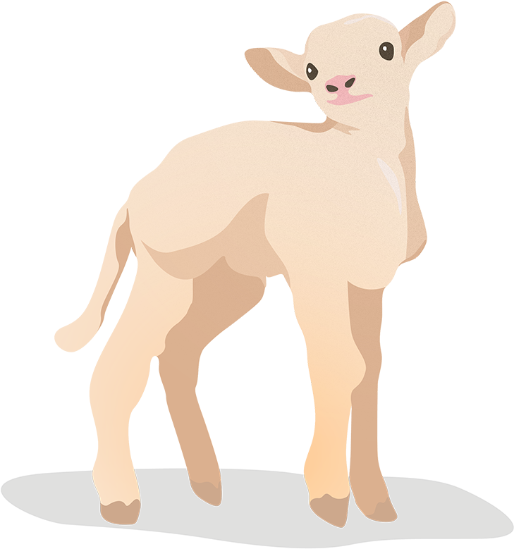 Flat Vector Farm Animals - Calf Clipart (827x1181), Png Download