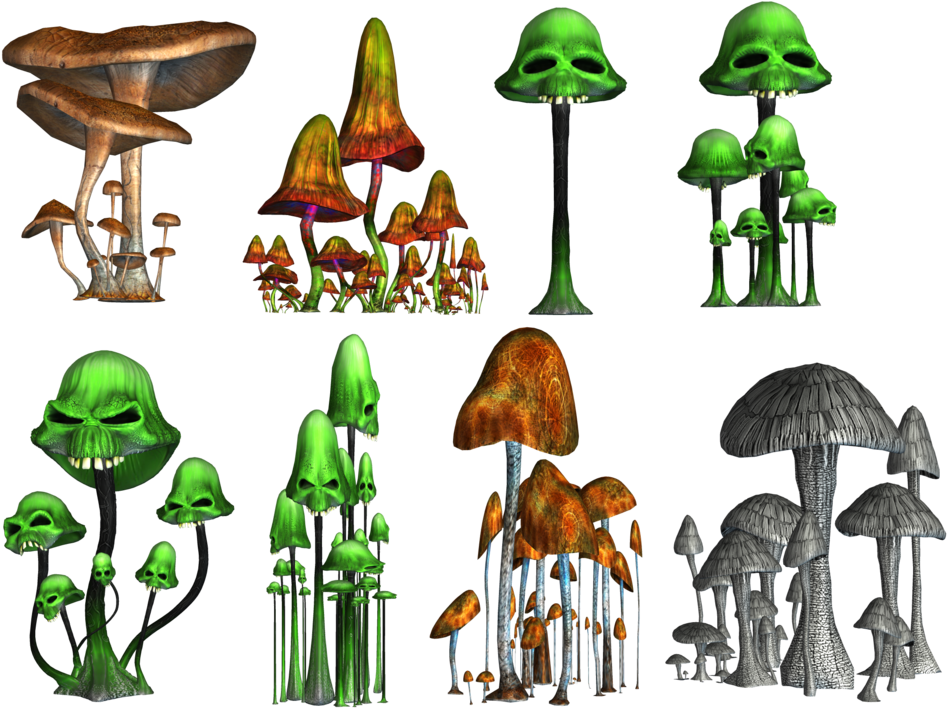 Magic Mushroom Png - Mushroom Clipart (1024x768), Png Download