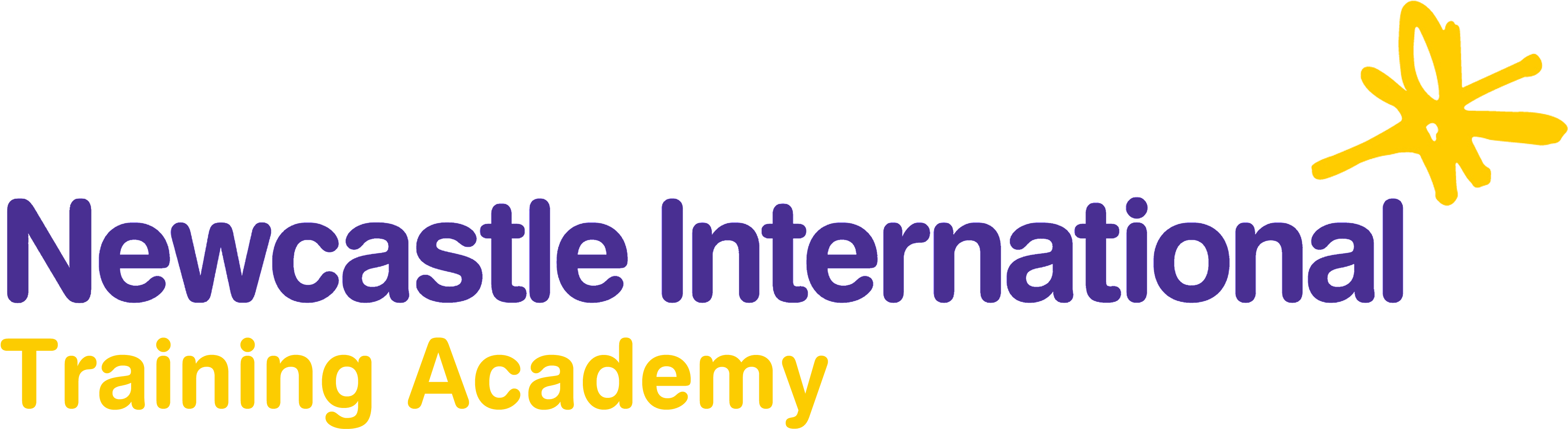 Newcastle International Airport - Newcastle Airport Clipart (4000x1500), Png Download