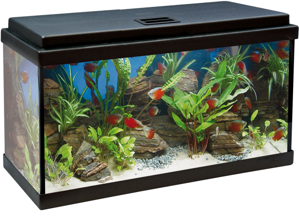 Acuario Aqualed 64l - Acuario De 100 Litros Clipart (650x650), Png Download